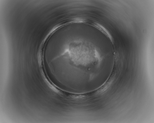 X0000113140851200909110932