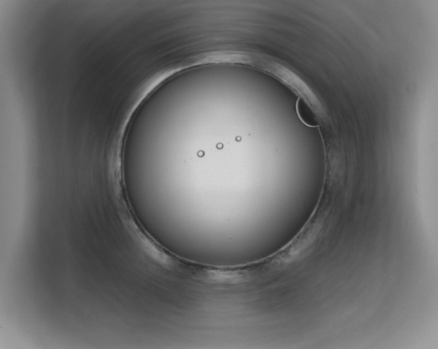 X0000113140852200909110932