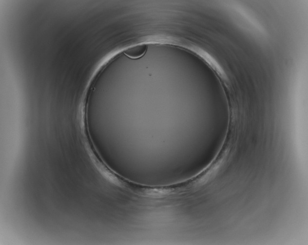 X0000113140854200909110932