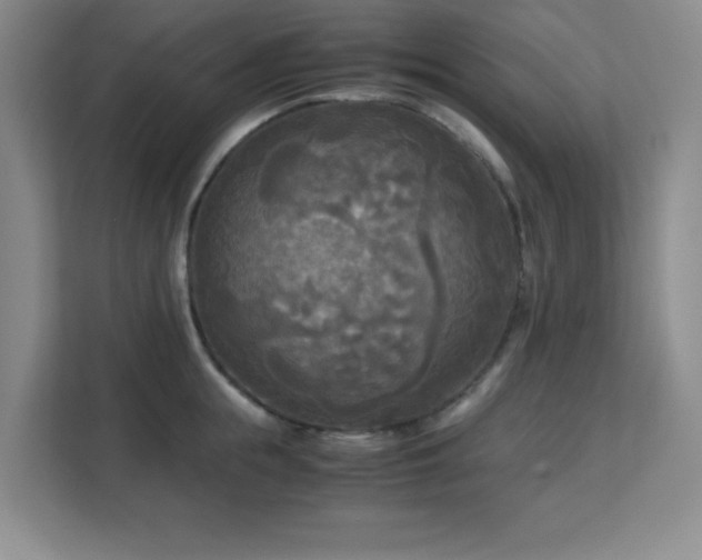 X0000113140855200909110932