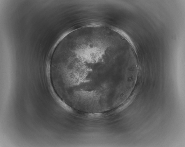 X0000113140859200909110932