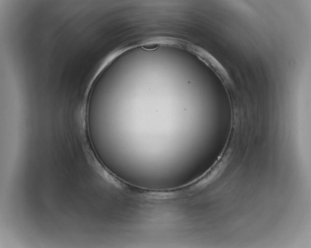 X0000113140860200909110932