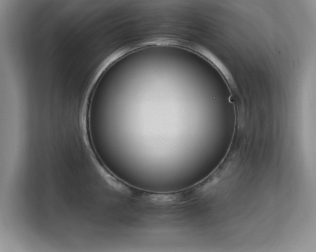 X0000113140861200909110932