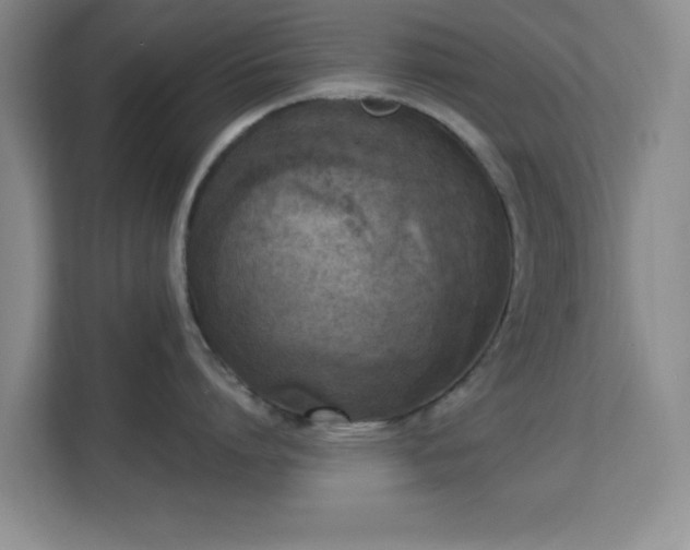 X0000113140864200909110932