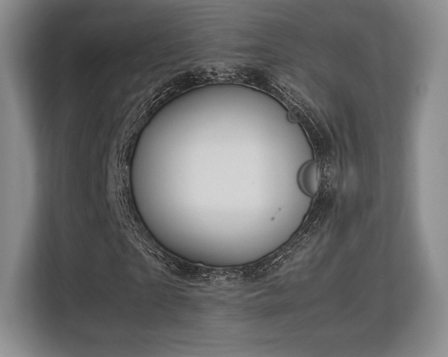 X0000113140865200909110932