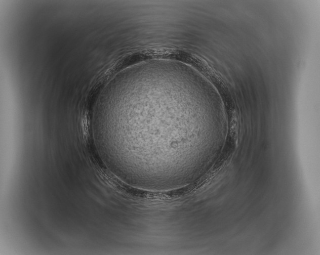 X0000113140866200909110932