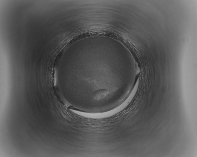 X0000113140868200909110932