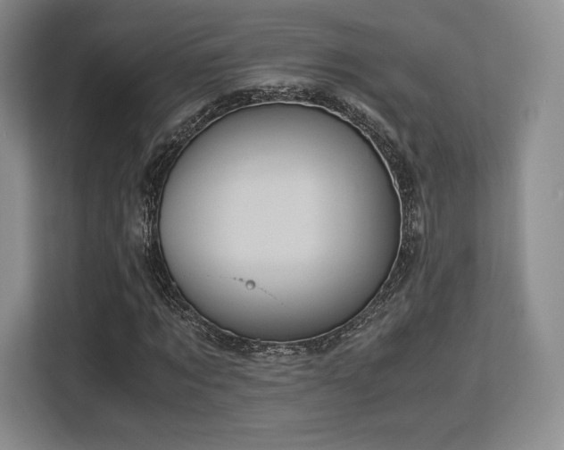 X0000113140869200909110932