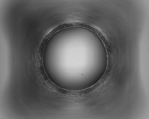 X0000113140871200909110932