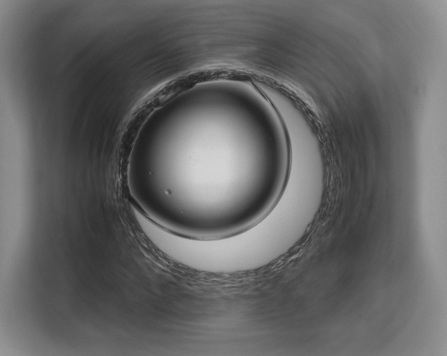 X0000113140872200909110932