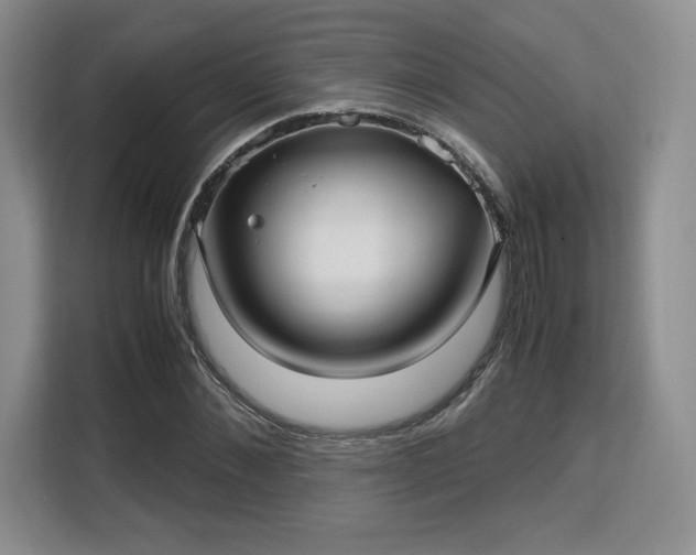 X0000113140876200909110932