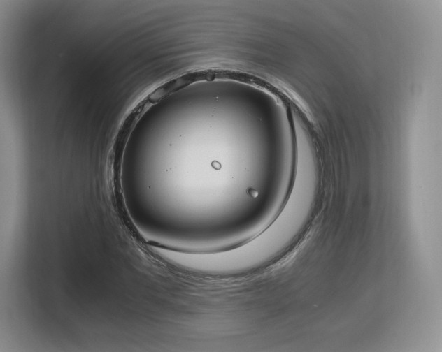 X0000113140877200909110932