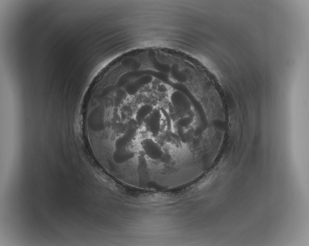 X0000113140879200909110932