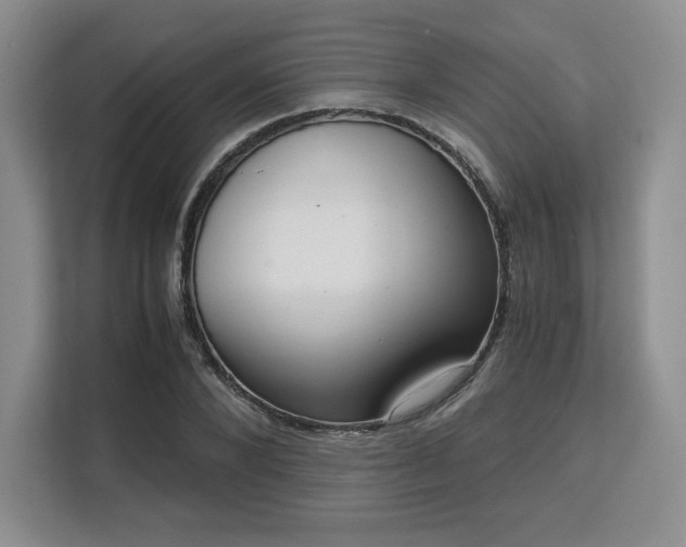 X0000113140880200909110932