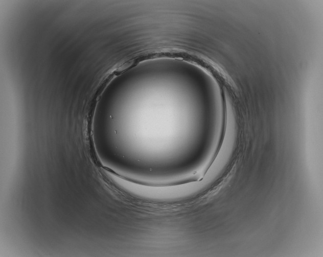 X0000113140881200909110932