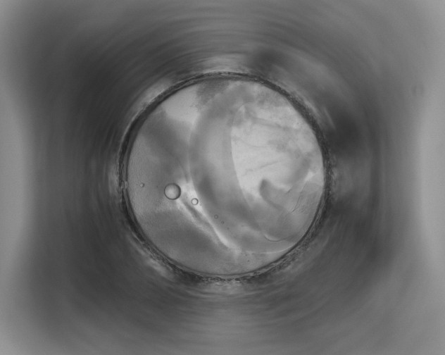 X0000113140882200909110932