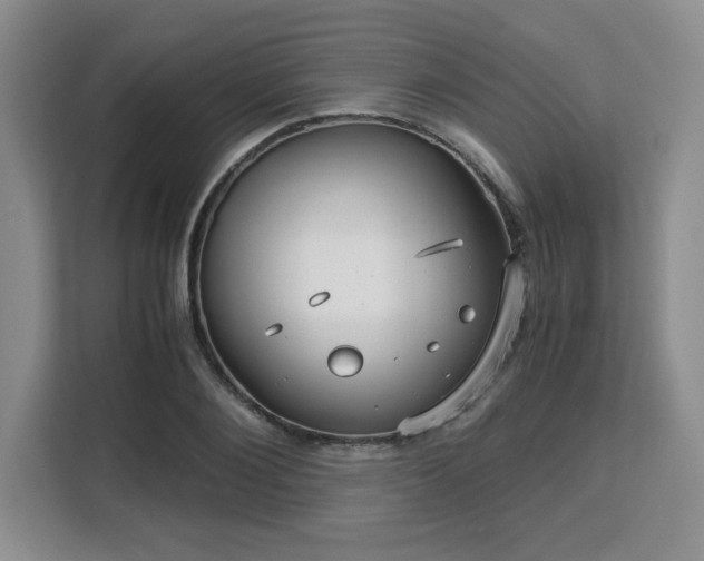 X0000113140884200909110932