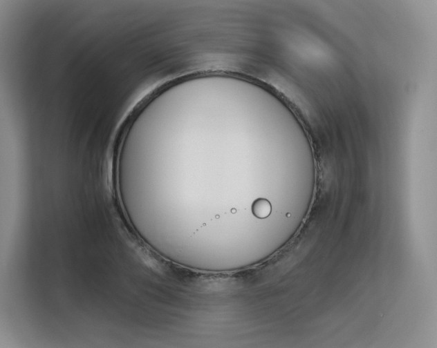 X0000113140886200909110932