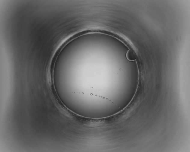 X0000113140887200909110932