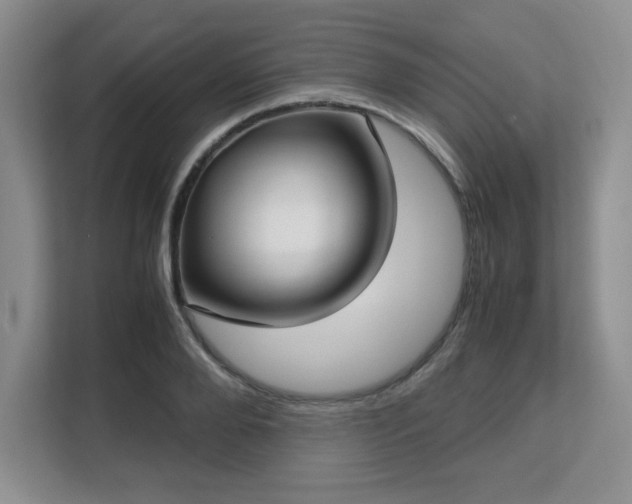 X0000113140888200909110932