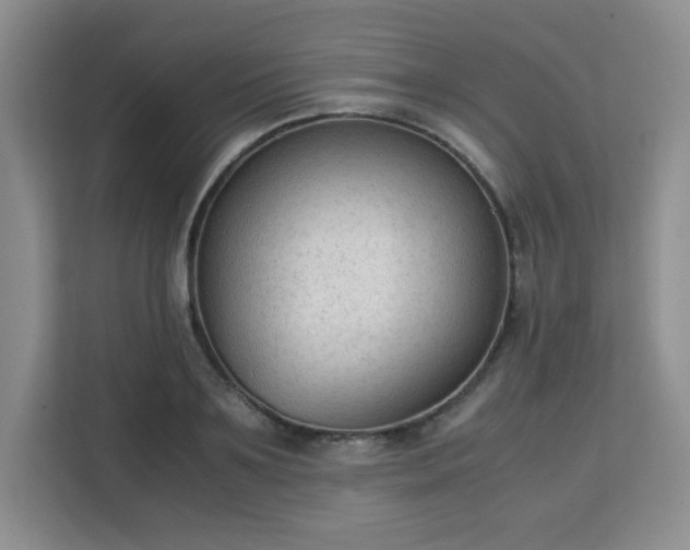 X0000113140891200909110932