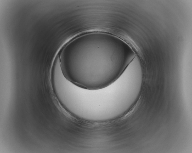 X0000113140892200909110932