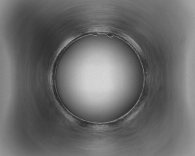 X0000113140893200909110931