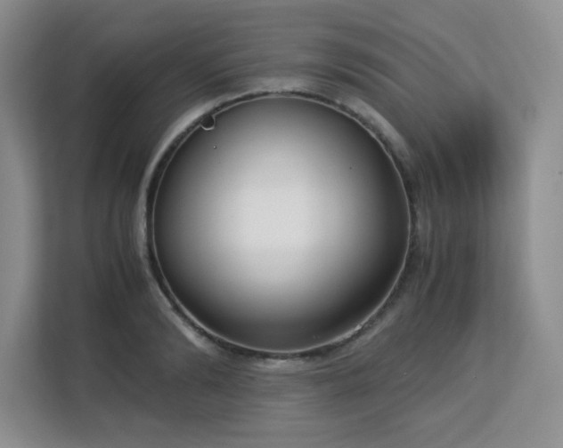 X0000113140894200909110931