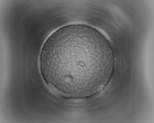 X0000113140895200909110931