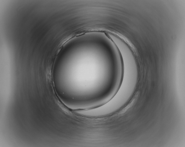 X0000113140897200909110931