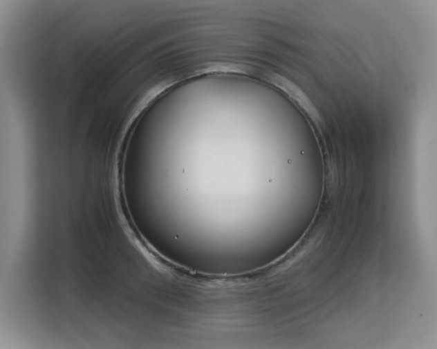 X0000113140898200909110931