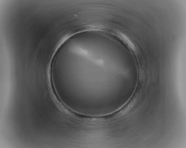 X0000113140899200909110931