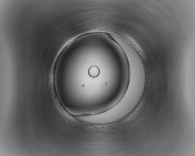 X0000113140900200909110931