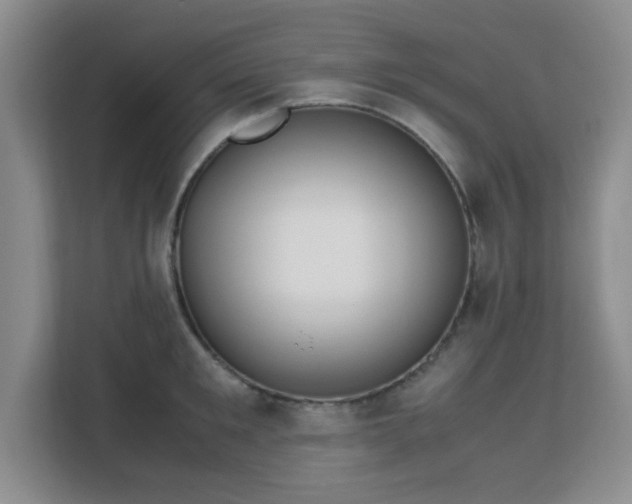 X0000113140901200909110931