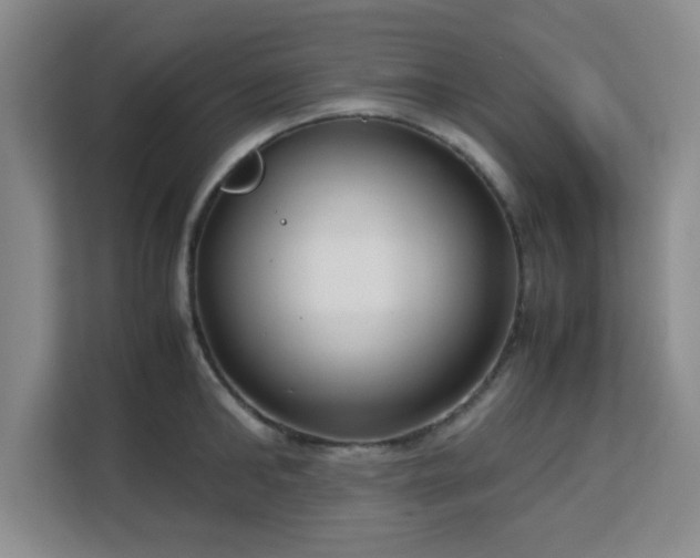 X0000113140902200909110931