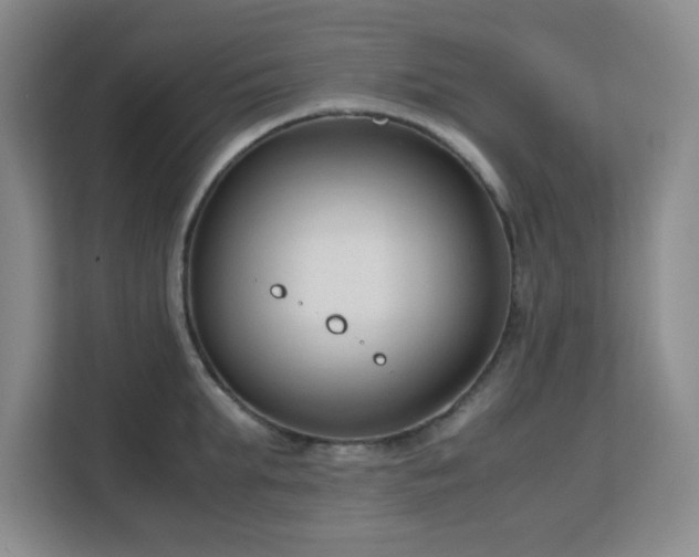 X0000113140903200909110931