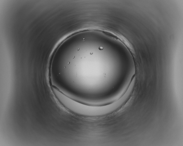 X0000113140904200909110931