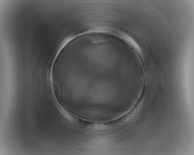 X0000113140907200909110931