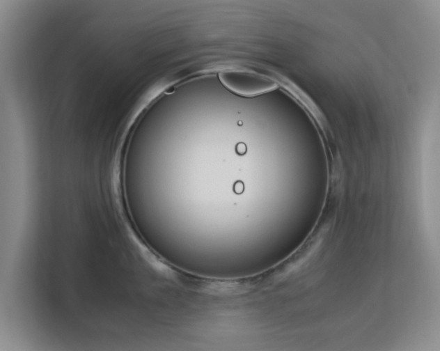 X0000113140909200909110931