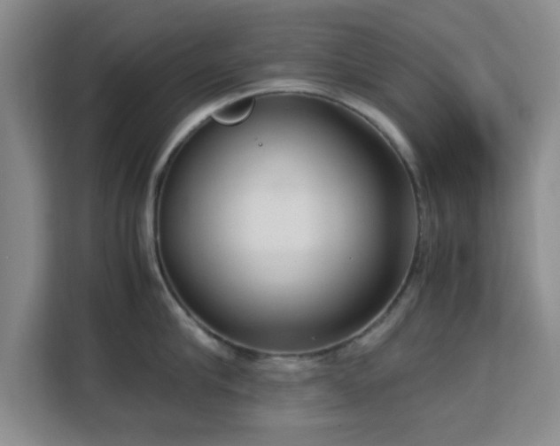 X0000113140910200909110931