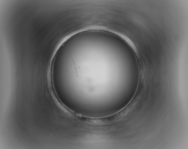 X0000113140911200909110931