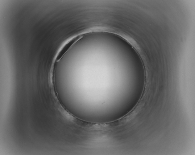 X0000113140912200909110931