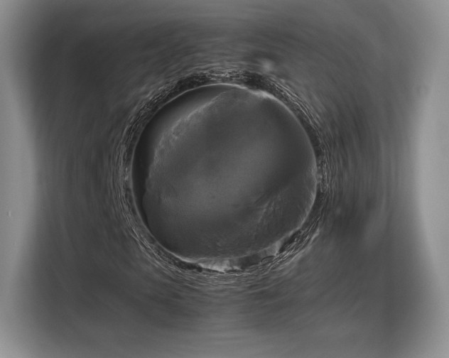 X0000113140913200909110931