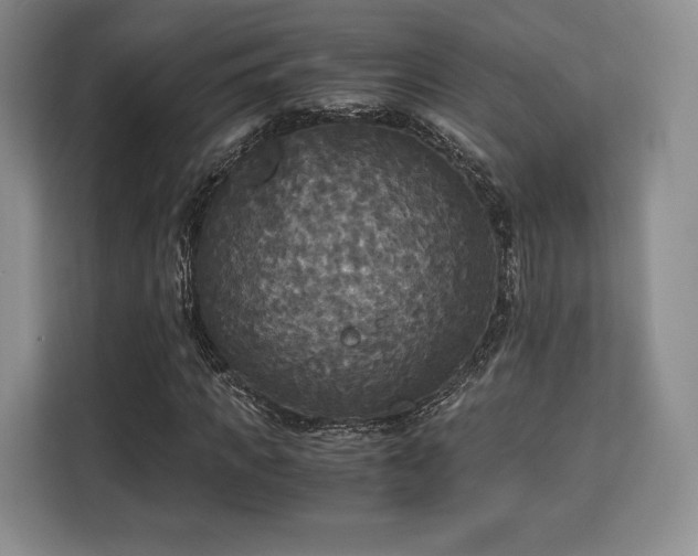 X0000113140917200909110931