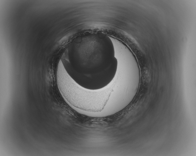 X0000113140918200909110931