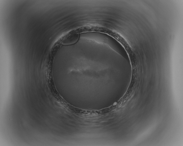 X0000113140919200909110931