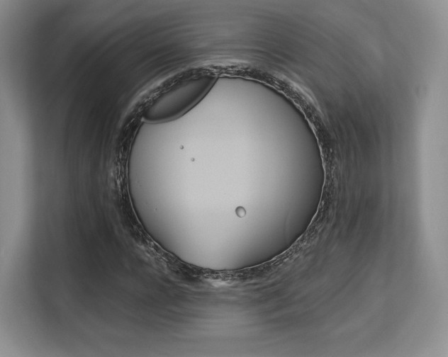 X0000113140920200909110931