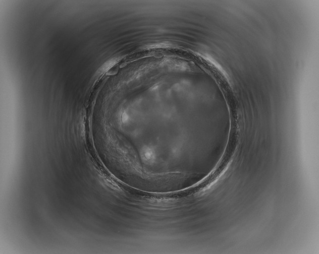 X0000113140921200909110931