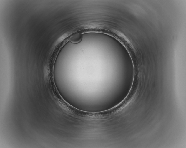 X0000113140922200909110931