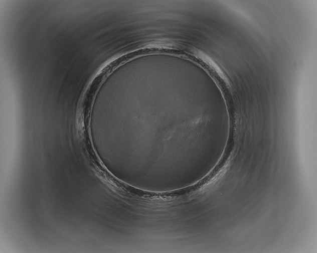 X0000113140923200909110931